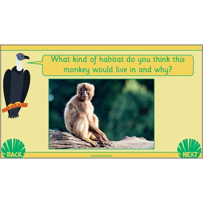 Living Things and their Habitats Year 2 Science by PlanBee