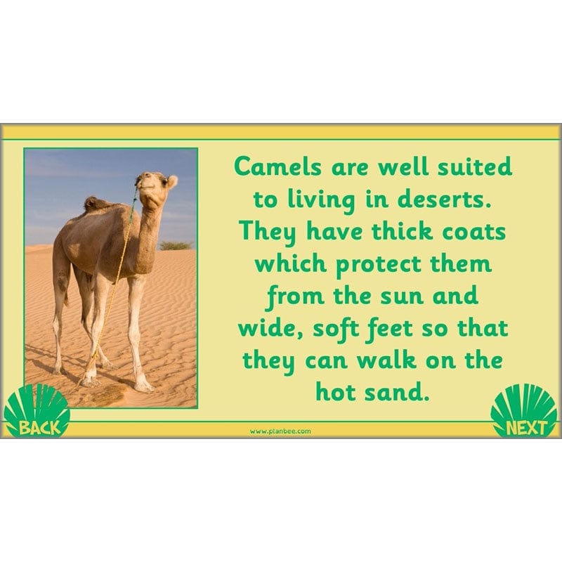 PlanBee Living Things and their Habitats Year 2 Science by PlanBee