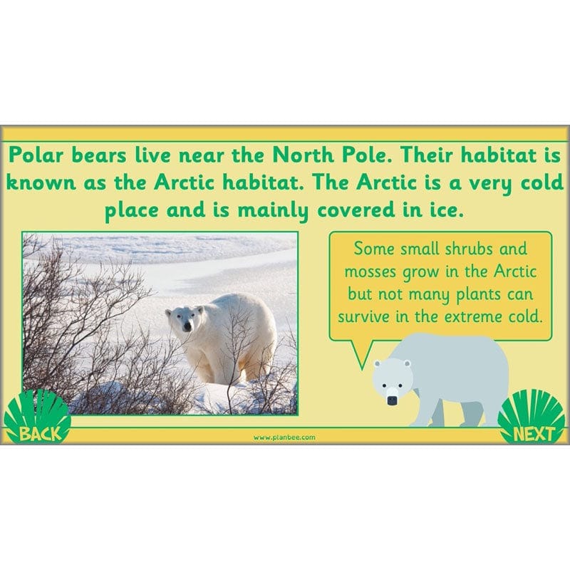 PlanBee Living Things and their Habitats Year 2 Science by PlanBee