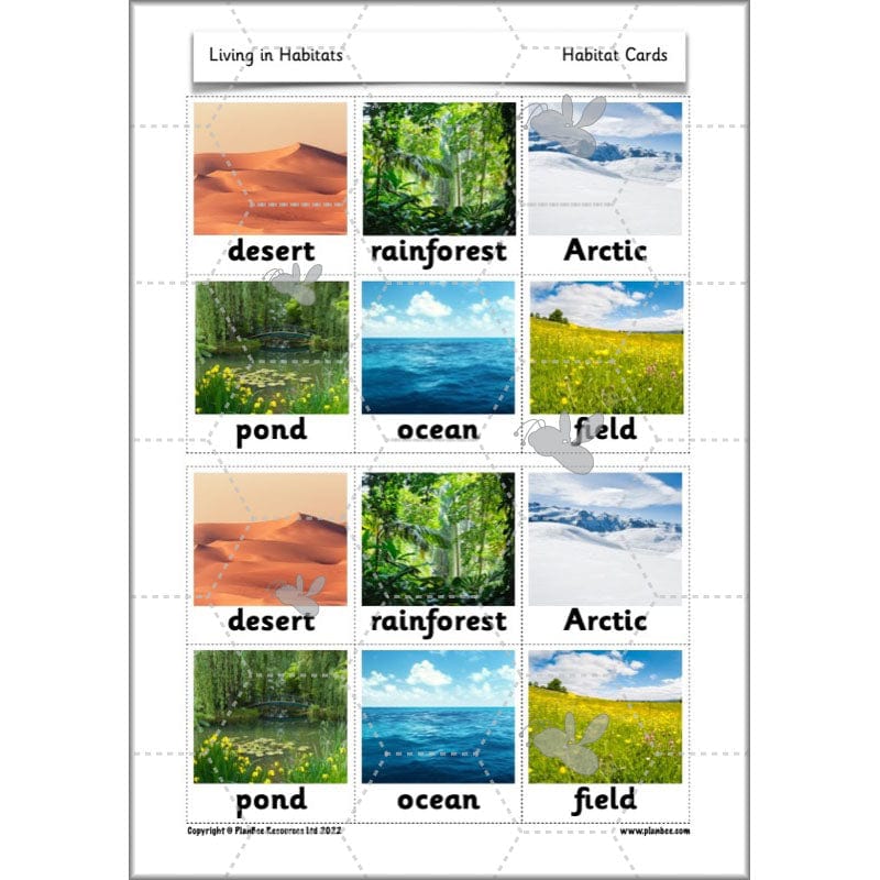 PlanBee Living Things and their Habitats Year 2 Science by PlanBee