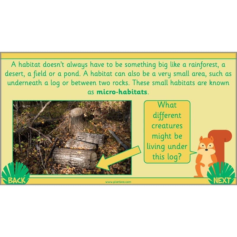 PlanBee Living Things and their Habitats Year 2 Science by PlanBee
