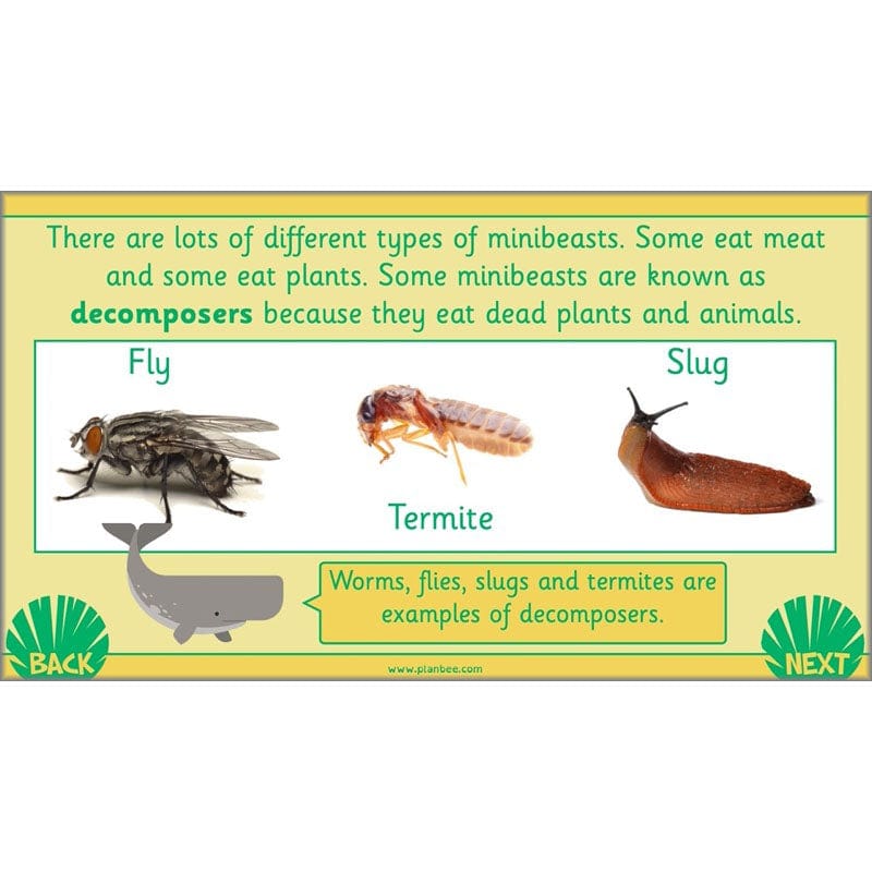 PlanBee Living Things and their Habitats Year 2 Science by PlanBee