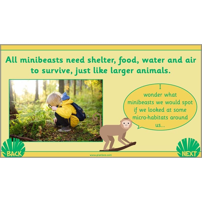 PlanBee Living Things and their Habitats Year 2 Science by PlanBee