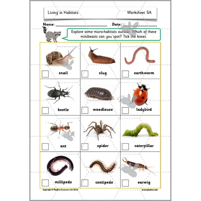 PlanBee Living Things and their Habitats Year 2 Science by PlanBee