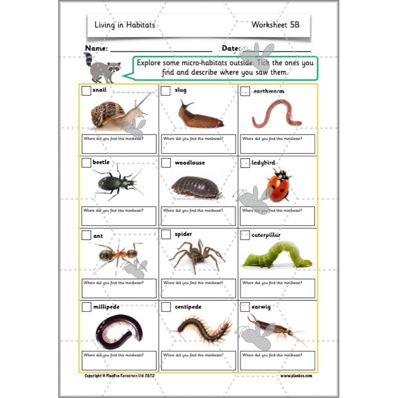 PlanBee Living Things and their Habitats Year 2 Science by PlanBee