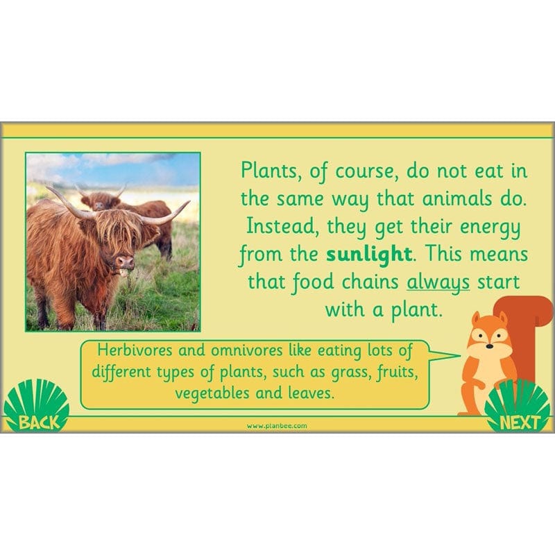 PlanBee Living Things and their Habitats Year 2 Science by PlanBee