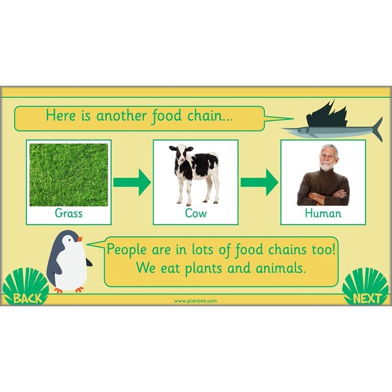 PlanBee Living Things and their Habitats Year 2 Science by PlanBee