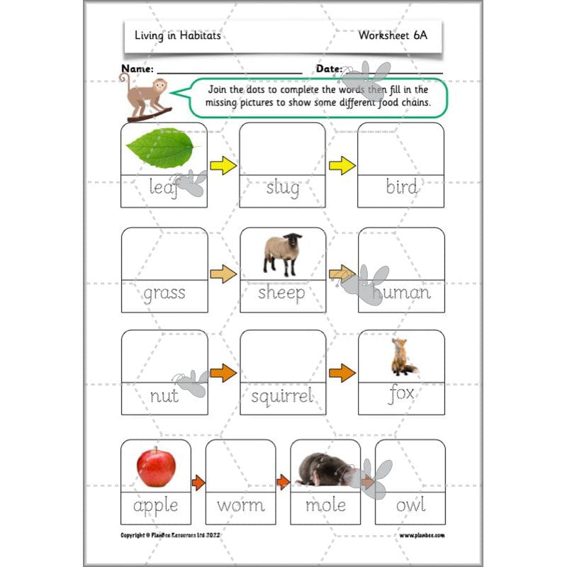 PlanBee Living Things and their Habitats Year 2 Science by PlanBee