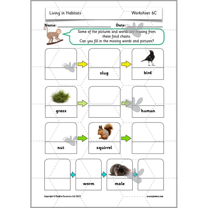 PlanBee Living Things and their Habitats Year 2 Science by PlanBee