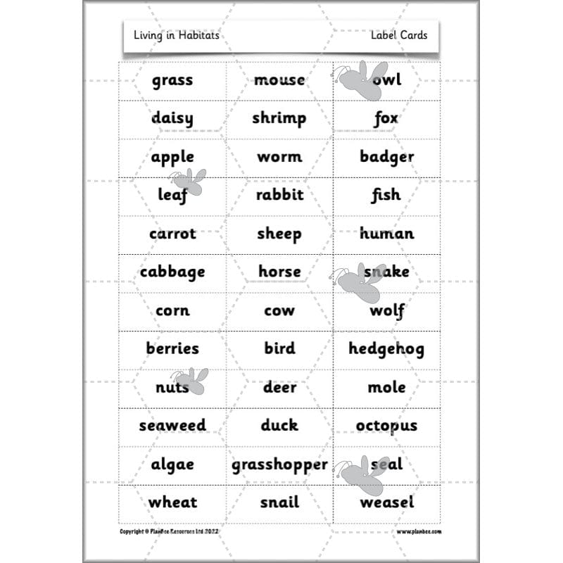 PlanBee Living Things and their Habitats Year 2 Science by PlanBee