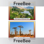PlanBee Madagascar Picture Cards | PlanBee