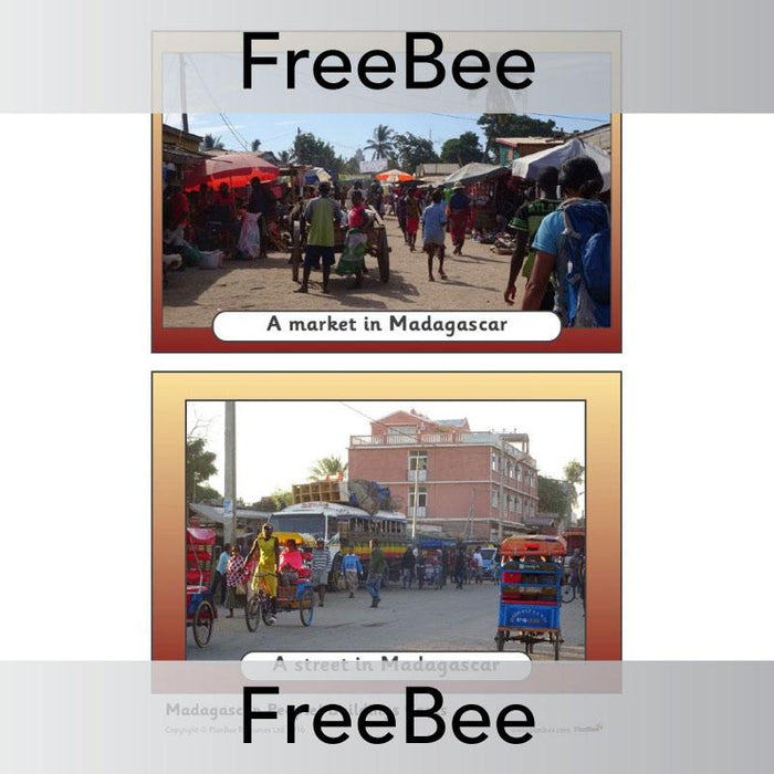 PlanBee Madagascar Picture Cards | PlanBee