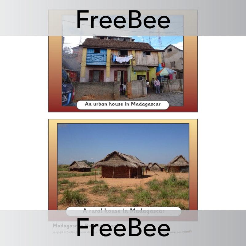 PlanBee Madagascar Picture Cards | PlanBee