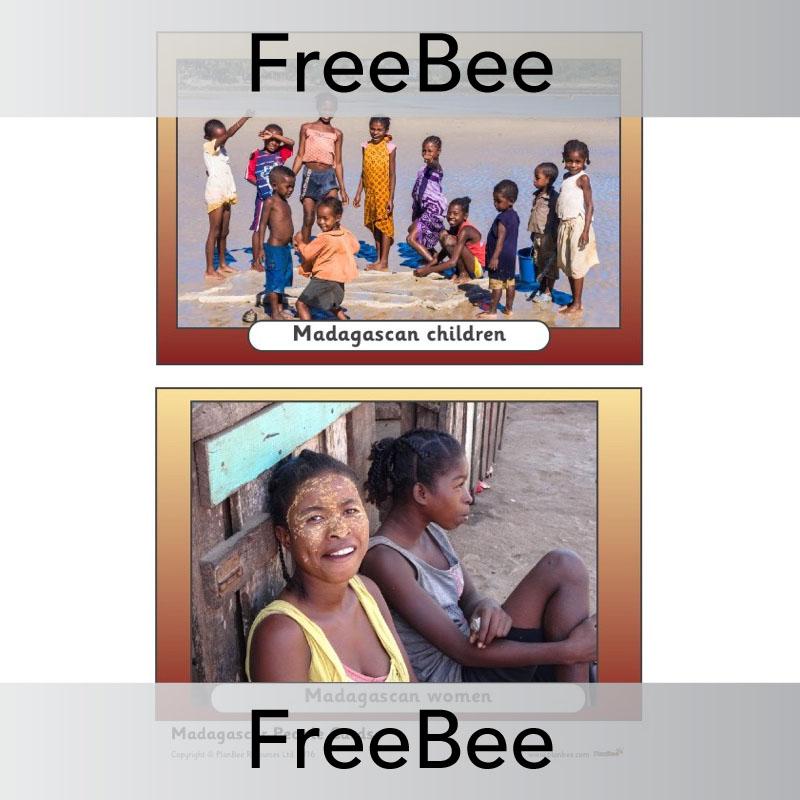 PlanBee Madagascar Picture Cards | PlanBee