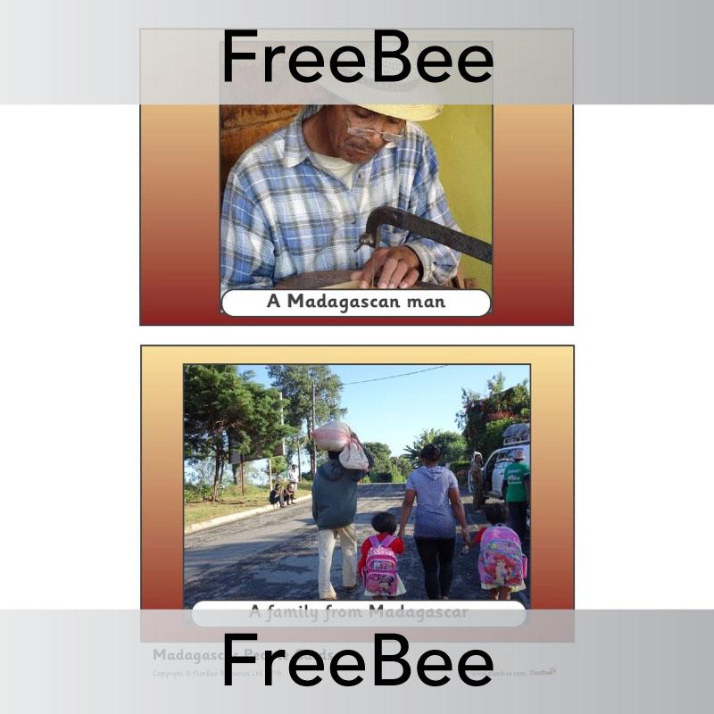 PlanBee Madagascar Picture Cards | PlanBee