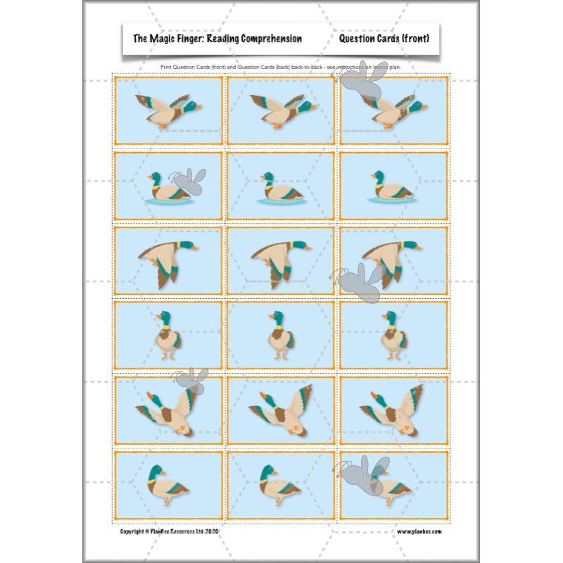 PlanBee The Magic Finger Lesson Plans Year 4 Reading Comprehension