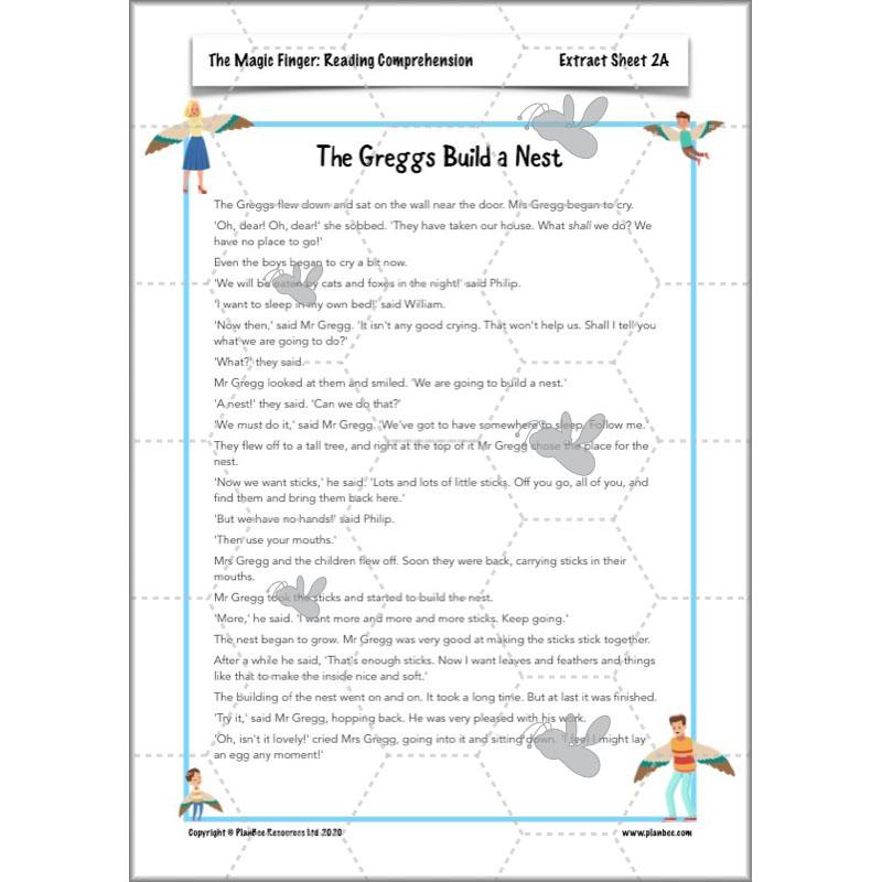 PlanBee The Magic Finger Lesson Plans Year 4 Reading Comprehension