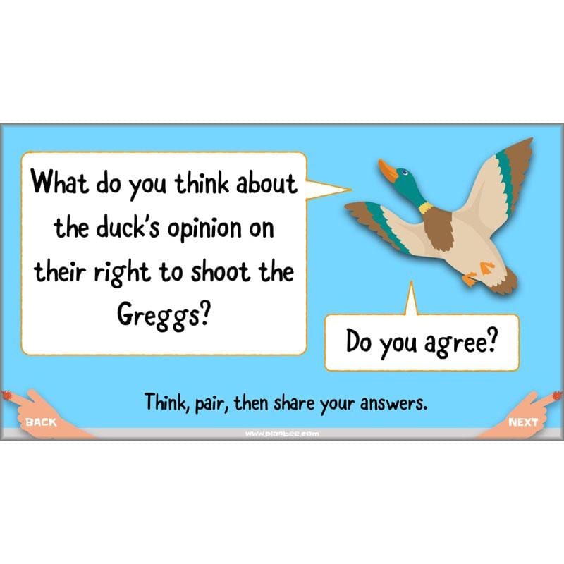 PlanBee The Magic Finger Lesson Plans Year 4 Reading Comprehension