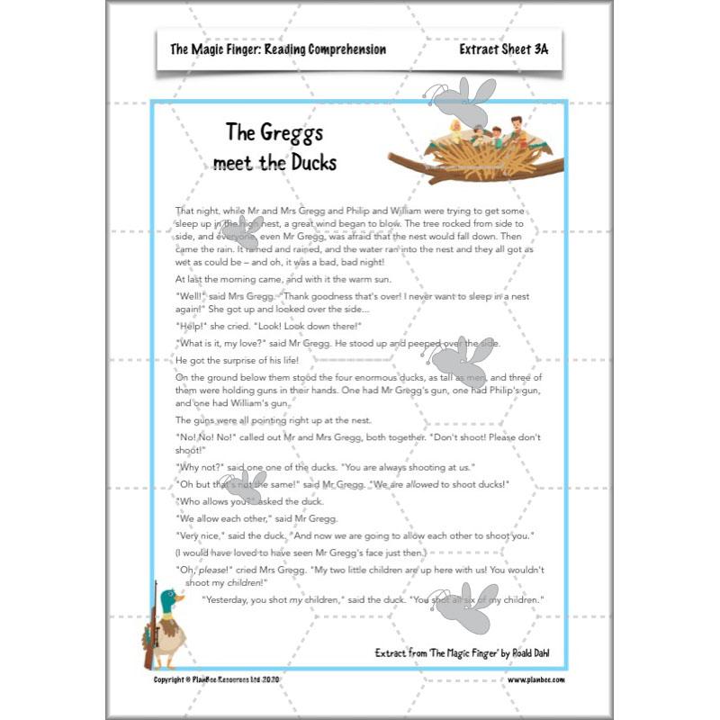 PlanBee The Magic Finger Lesson Plans Year 4 Reading Comprehension