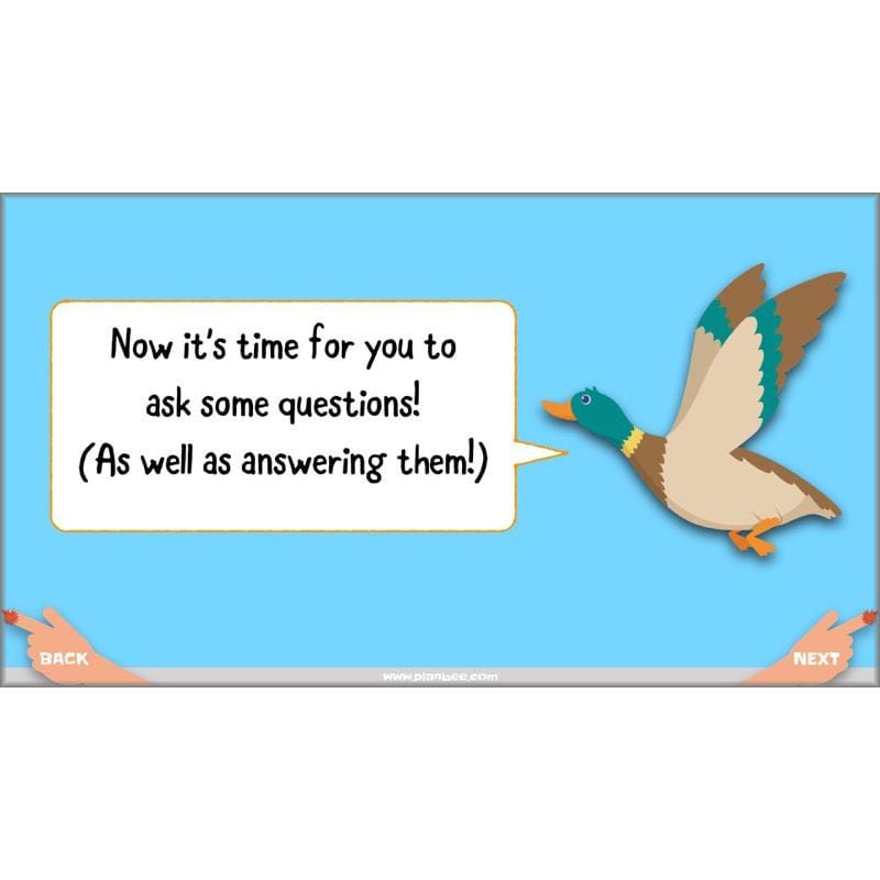 PlanBee The Magic Finger Lesson Plans Year 4 Reading Comprehension