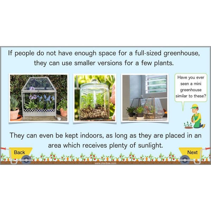 PlanBee Making Mini Greenhouses: complete DT scheme of work for KS2
