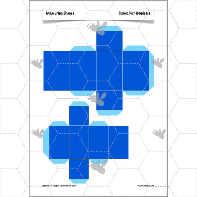 PlanBee Measuring Shapes Year 5 Maths Planning by PlanBee