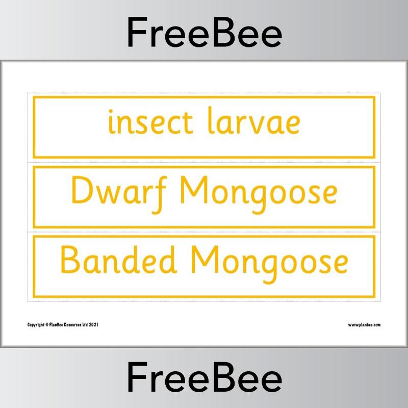 PlanBee Free Meerkat Mail Display Pack by PlanBee