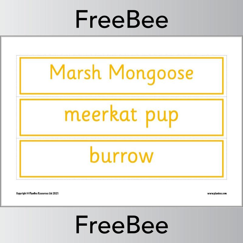 PlanBee Free Meerkat Mail Display Pack by PlanBee