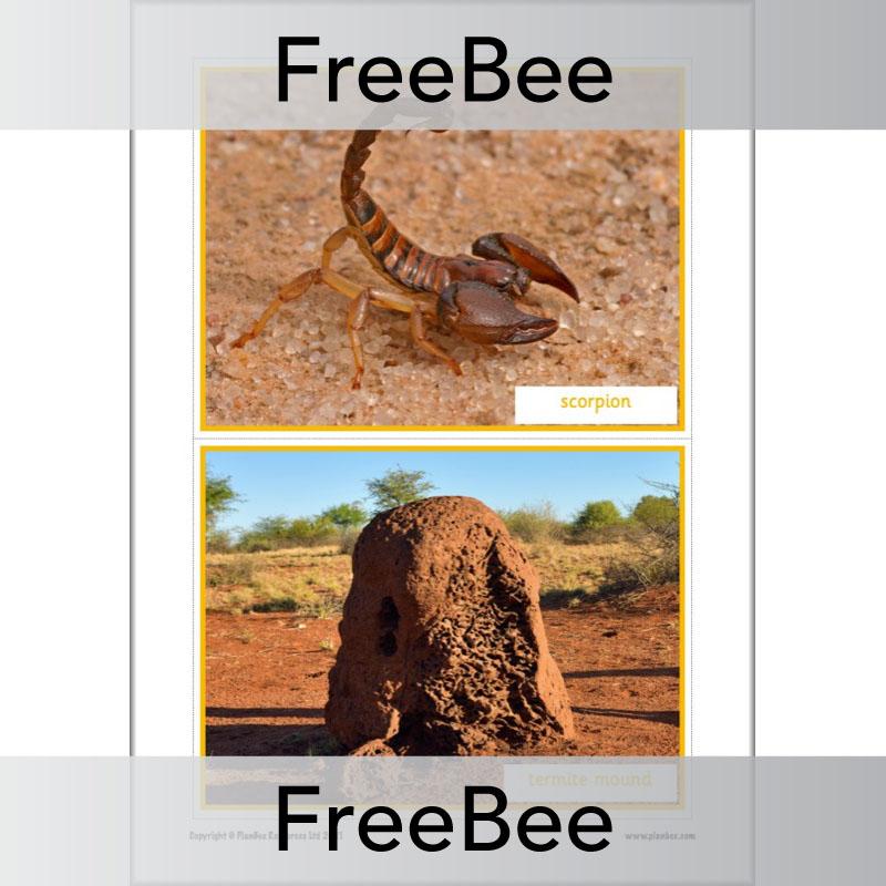 PlanBee Free Meerkat Mail Display Pack by PlanBee