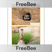 PlanBee Free Meerkat Mail Display Pack by PlanBee