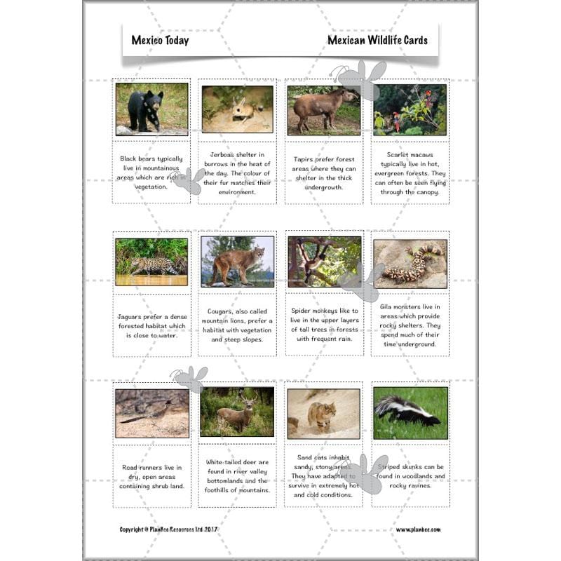 PlanBee Mexico Today: Year 3 & Year 4 Mexico KS2 Geography | PlanBee