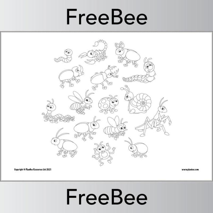PlanBee Minibeast Colouring Pages by PlanBee
