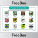 PlanBee Free Minibeast Identification Sheet by PlanBee