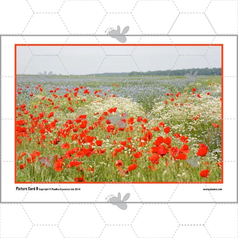 PlanBee Claude Monet KS2 Impressionism Art Lessons for Year 5/6