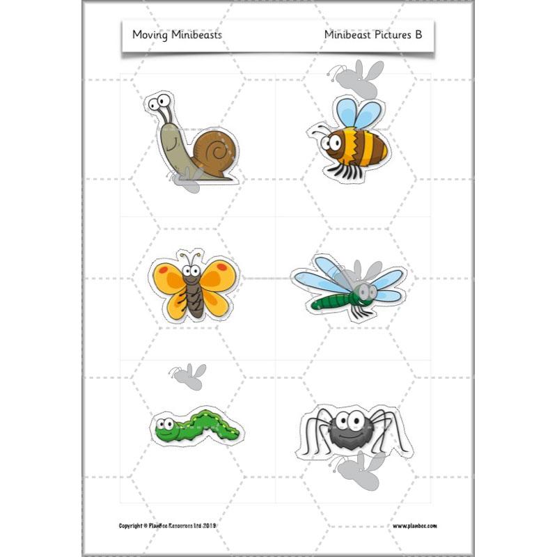 PlanBee Moving Minibeasts KS1 DT | Year 1 & Year 2 | PlanBee