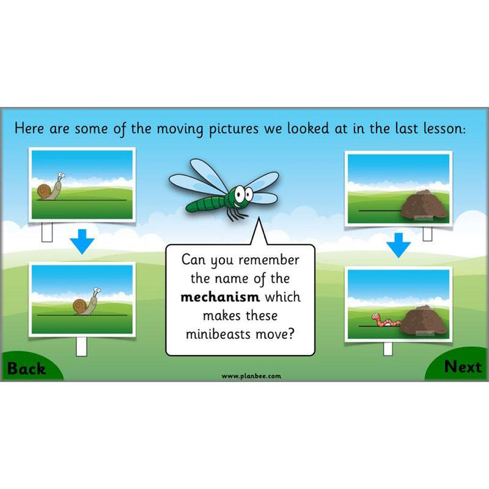 PlanBee Moving Minibeasts KS1 DT | Year 1 & Year 2 | PlanBee