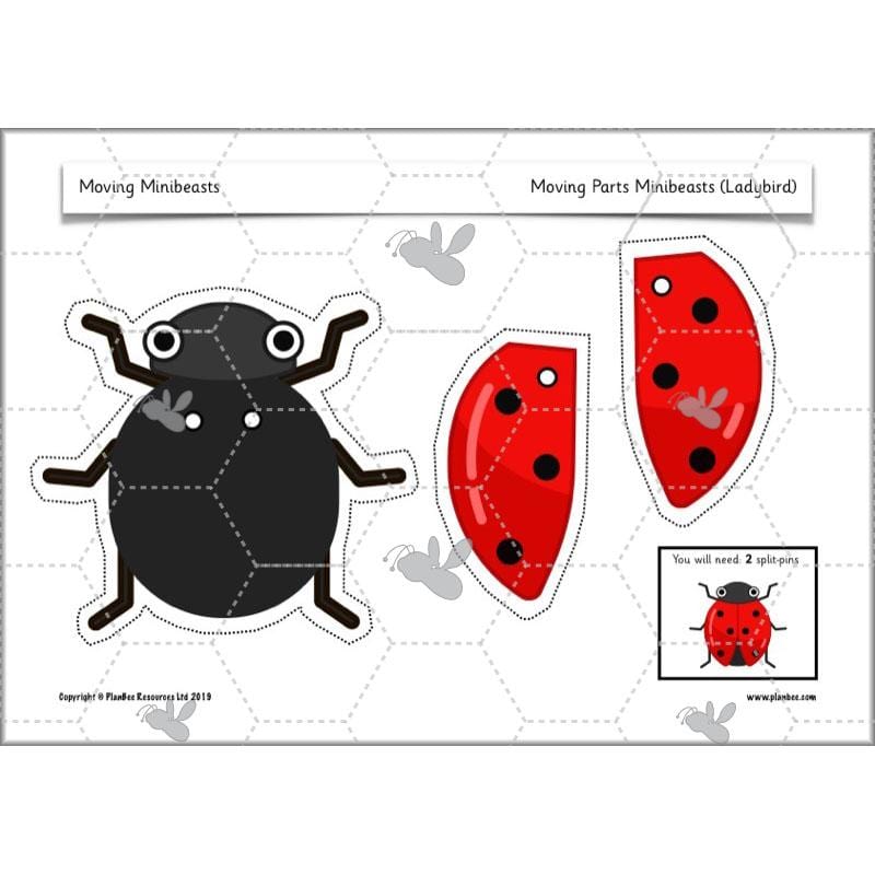 PlanBee Moving Minibeasts KS1 DT | Year 1 & Year 2 | PlanBee