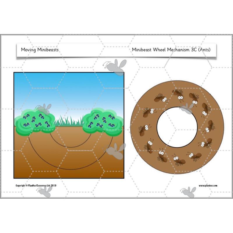 PlanBee Moving Minibeasts KS1 DT | Year 1 & Year 2 | PlanBee