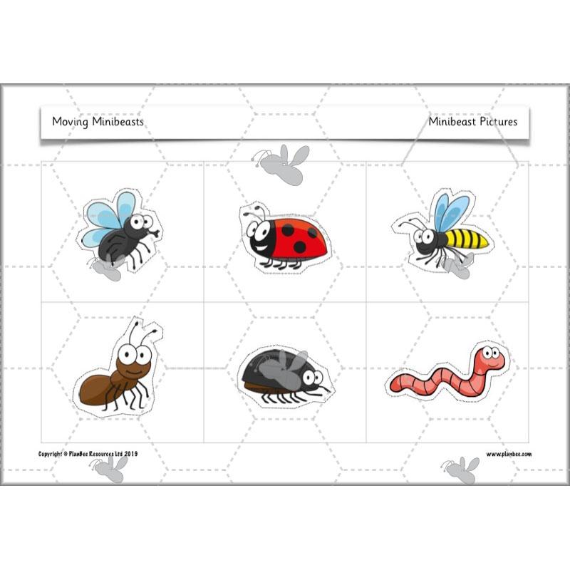 PlanBee Moving Minibeasts KS1 DT | Year 1 & Year 2 | PlanBee
