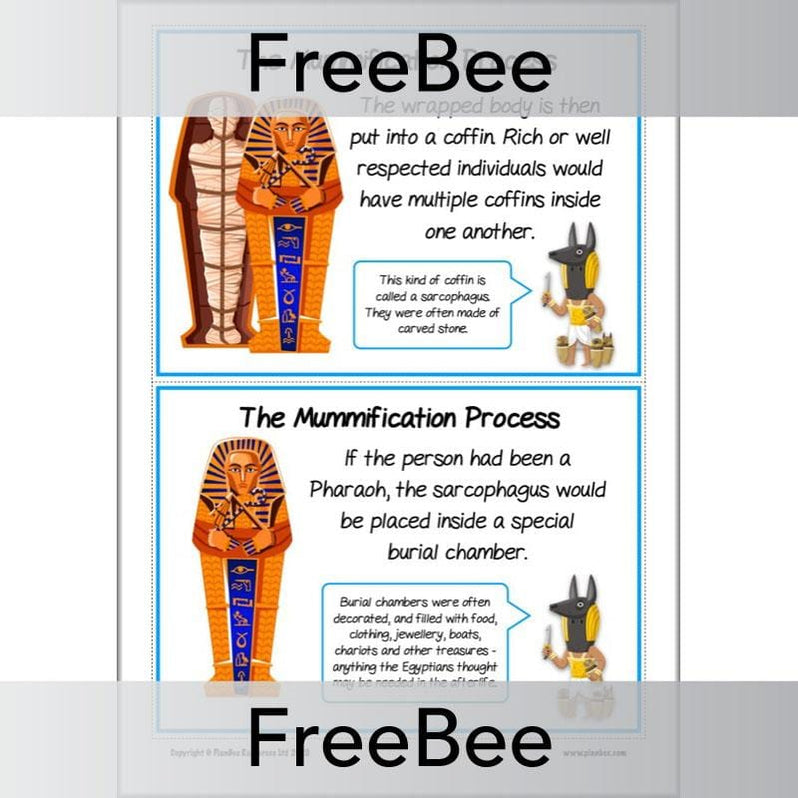 FREE Mummification Process KS2 History Cards by PlanBee