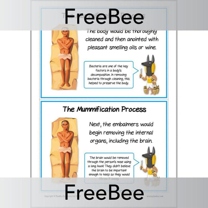 FREE Mummification Process KS2 History Cards by PlanBee