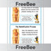 FREE Mummification Process KS2 History Cards by PlanBee