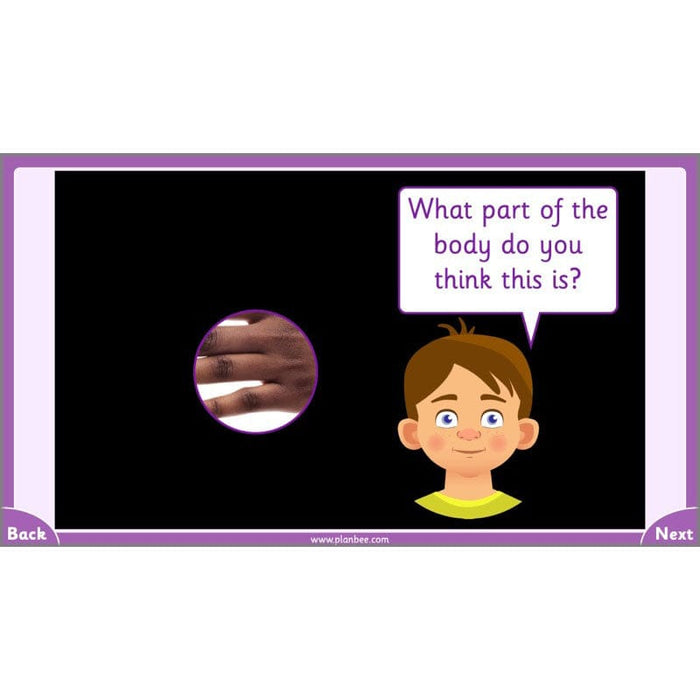 PlanBee Parts of the Body KS1 Science lessons by PlanBee