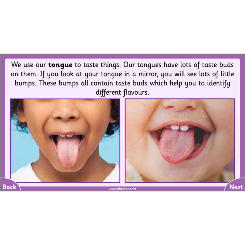 PlanBee Parts of the Body KS1 Science lessons by PlanBee