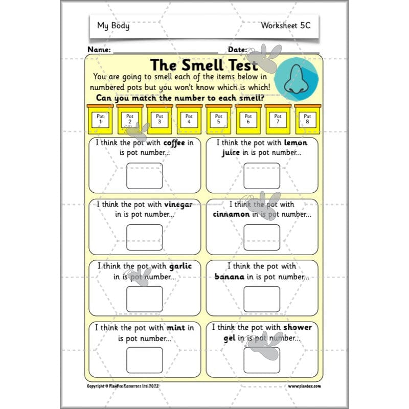 PlanBee Parts of the Body KS1 Science lessons by PlanBee