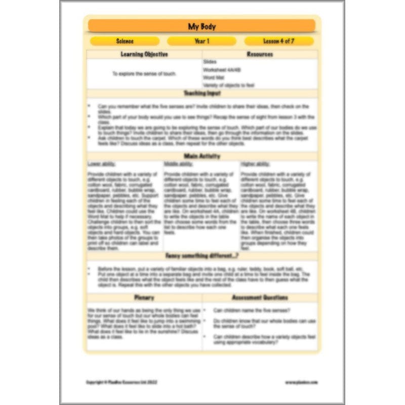 PlanBee Parts of the Body KS1 Science lessons by PlanBee