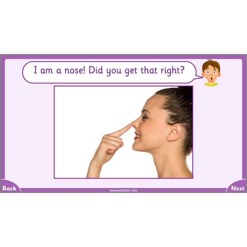 PlanBee Parts of the Body KS1 Science lessons by PlanBee