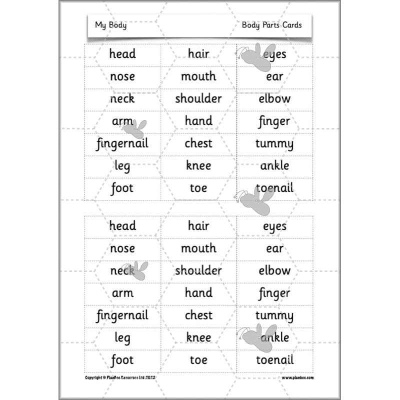 PlanBee Parts of the Body KS1 Science lessons by PlanBee