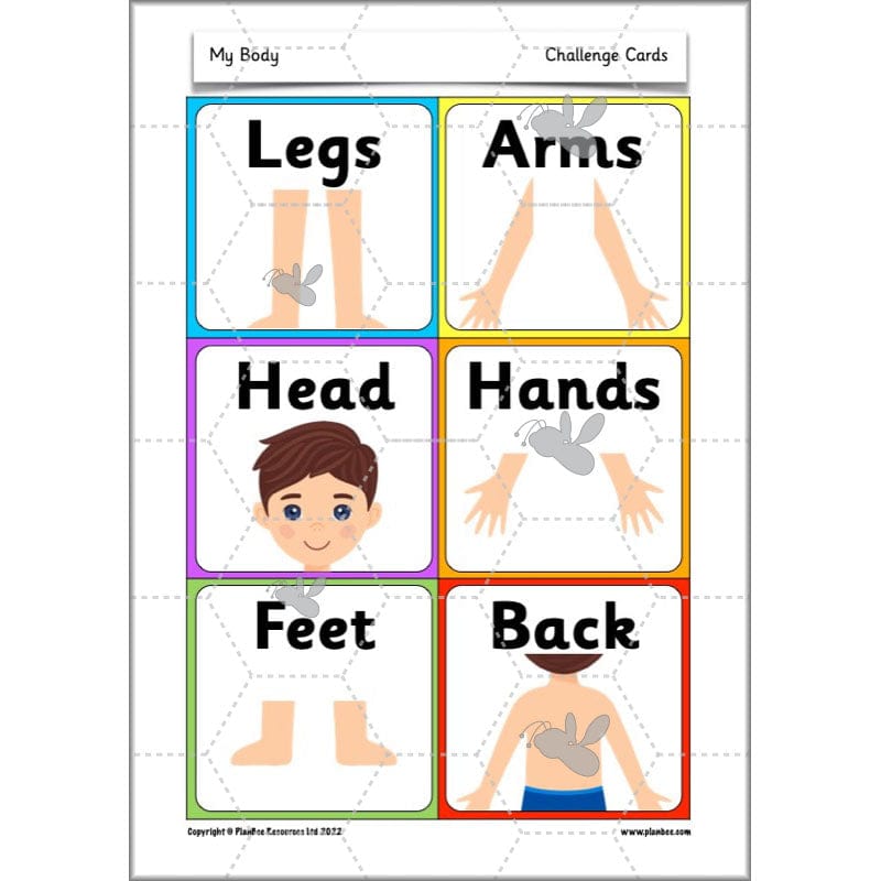 PlanBee Parts of the Body KS1 Science lessons by PlanBee