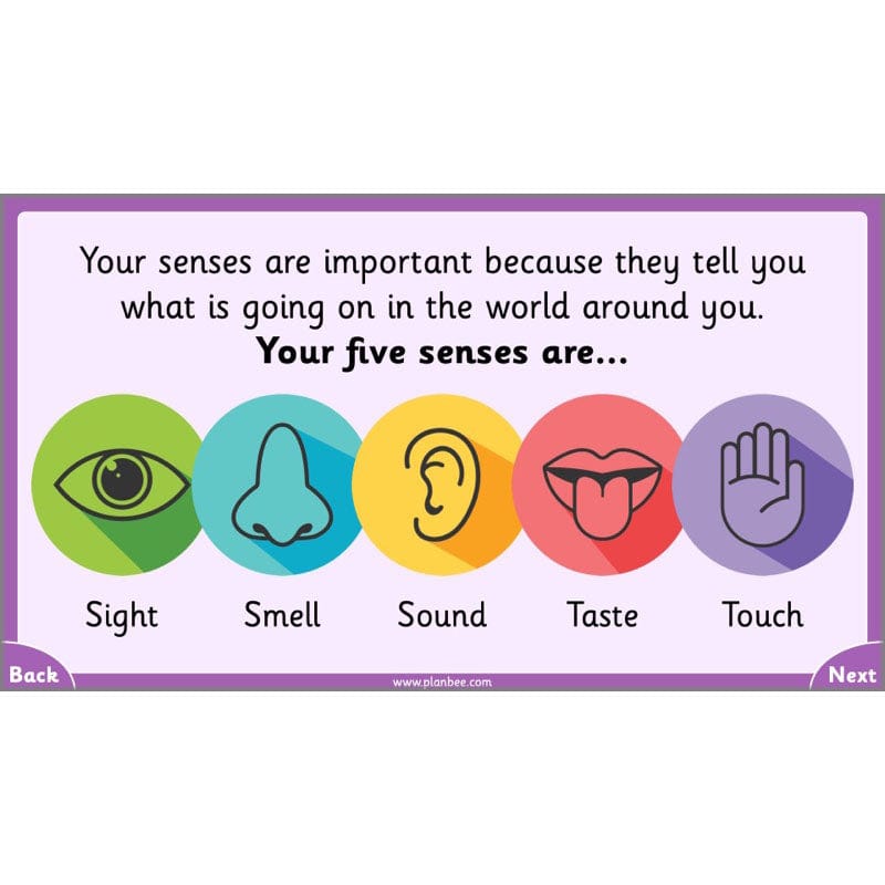 PlanBee Parts of the Body KS1 Science lessons by PlanBee